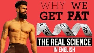 Watch HOW TO STOP BEING FAT ? | INSULIN SPIKE, GLYCOGEN and WHY DO WE GET FAT ? Video