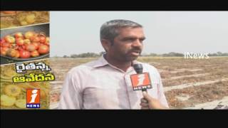 Watch Tomatoes Farmers Suffering Losses Due To Low Price | iNews Video