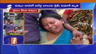 Watch 5 Years Old Boy Prem Kumar lost life Due To Street Dogs Attacks In Guntur | Govt Careless | iNews Video