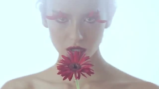 Watch Stereocase - Alihkan (Official Video) Video
