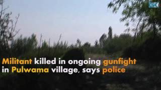 Watch Militant killed in ongoing gunfight in Pulwama village, says police Video