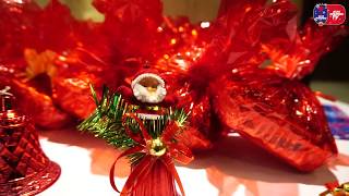 Watch Merry Christmas from the Delhi Dynamos Family Video