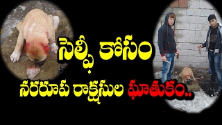 Watch Two Men Chopped Dog Ears For A Perfect Selfie || à°à°‚ à°…à°¨à°¾à°²à°¿ à°µà±€à°³à±à°³à°¨à°¿  || RECTV INDIA Video
