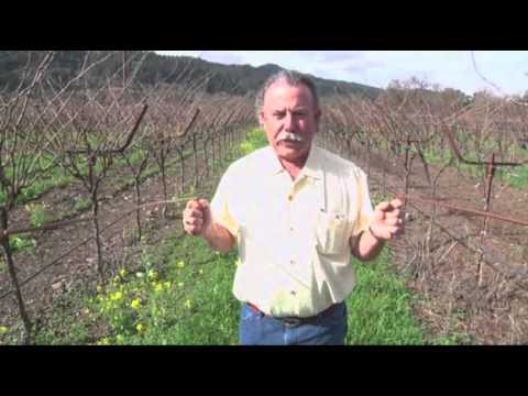 Watch Water Witches in Demand in Calif. Drought News Video Video