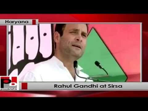 Watch Rahul Gandhi in Congress rally at Sirsa, Haryana Video