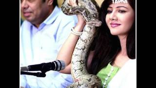 Watch Pakistani actress slams Salman Khan Video