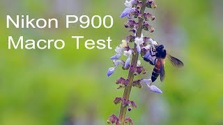 Watch Shoot macro videos for just 500 dollar - Nikon Coolpix P900  macro Test Video
