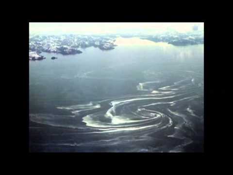 Watch Today in History for March 24 News Video Video