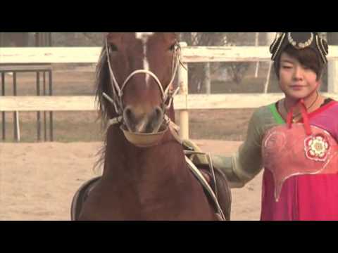Watch Raw- Dancing Horses of the Tang Empire News Video Video