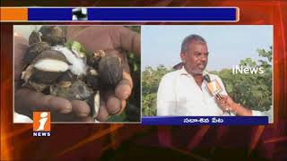 Watch Cotton Farmers Condition Turns Worse Due To Lack of Supporting Price in Medak | Face To Face | iNews Video