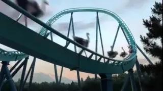 Watch Menakjubkan Atraksi Hewan Hewan Lucu Gajah Terbang Video