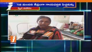 Watch Stray Dog Attack On Peoples In Miryalaguda | 18 Injured | iNews Video