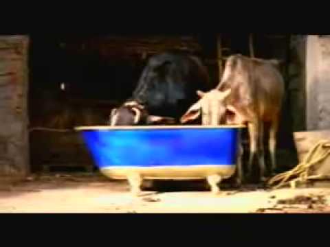 Watch Citibank Credit Card - tyag New TV Advt Video Video