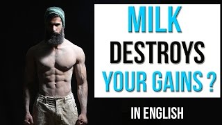 Watch MILK and BODYBUILDING | What is Lactose Intolerance | Abhinav Mahajan Video