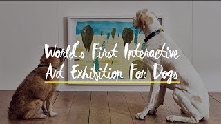 Watch WATCH- Worldâ€™s First Interactive Art Exhibition For Dogs Video