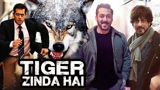 Watch Salman PERFORMS Dangerous Stunts In Tiger Zinda Hai, Shahrukh Visits Salman's Tiger Zinda Hai Sets? Video