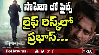 Watch prabhas risky stunts in sahoo I prabhas latest updates I rectv india Video