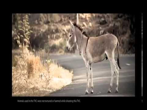 Watch CEAT SUV Tyres - Kahan Rukna Hai Pata Hai - 2 New TV Advt Video Video
