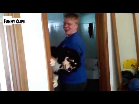 Watch Cats and Dogs Just Don't Want to Bath 2015 Funny video NEW HD Video