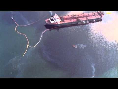 Watch Impact of Valdez Spill Lingers After 25 Years News Video Video