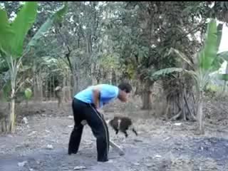Watch Video lucu - pria keluarkan hewan hewan saat bersin Video