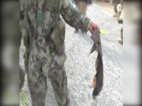 Watch Raw- Taliban Suicide Bombers Kills Scores News Video Video