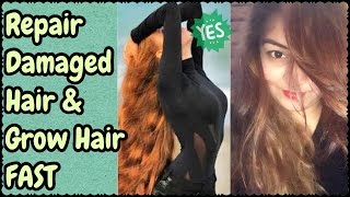 Watch DIY Hair Tonic | Pack for Heavy Hair Growth, Treat Dandruff/Stop Hair Fall | Get Silky Healthy Hair Video