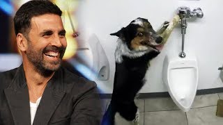 Watch Akshay Kumar TEACHES His Dog To Flush Toilet - Watch Video Video
