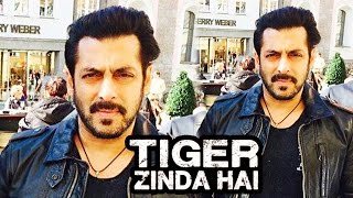Watch Salman Khan's FIERCE & ANGRY Look In Tiger Zinda Hai Video