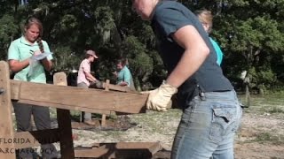 Watch Lost Spanish Settlement Found in Fla Panhandle News Video Video