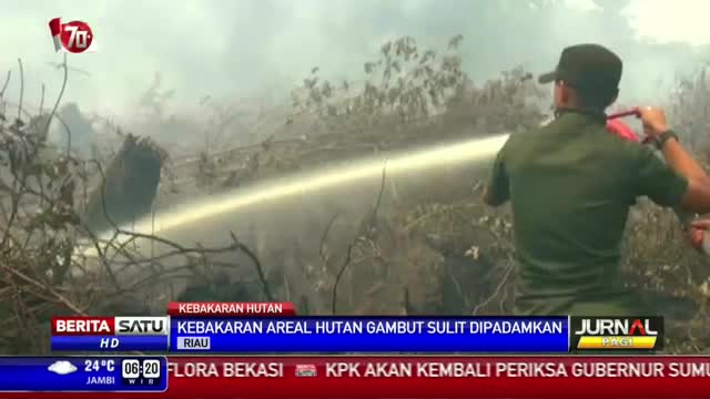 Watch Kebakaran Sudah Melalap 5000 Hektare Lahan di Riau Video