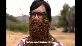 Watch Kompilasi Klip Lucu Bikin Tawa 2016 Video