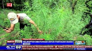 Watch Polda Aceh Butuh Helikopter untuk Pantau Keberadaan Ladang Ganja Video