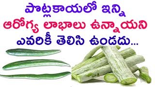 Watch à°ªà±Šà°Ÿà±à°²à°•à°¾à°¯à°²à±‹ à°‡à°¨à±à°¨à°¿ à°†à°°à±‹à°—à±à°¯ à°²à°¾à°­à°¾à°²à± à°‰à°¨à±à°¨à°¾à°¯à°¨à°¿ à°Žà°µà°°à°¿à°•à±€ à°¤à±†à°²à°¿à°¸à°¿ à°‰à°‚à°¡à°¦à± | Health Benefits of snake gourds Video