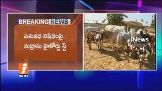 Watch Madras High Court Stays Central Govt Ban On Cattle slaughter  | iNews Video