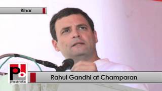 Watch At Chamaparan, Rahul Gandhi accused PM Modi of not fulfilling his poll promises Politics Video Video