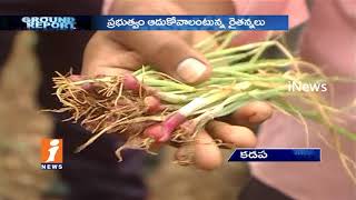 Watch Onion Farmers Huge Loss And Problems Due To Unseasonal Rain In Kadapa | Ground Report | iNews Video