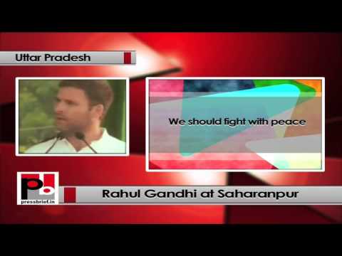 Watch Rahul Gandhi- BJP talks about corruption, but does nothing Video