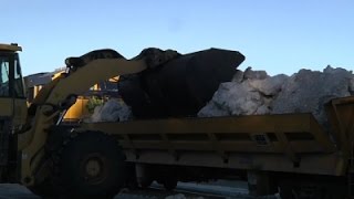 Watch Snow Shipped In Via Rail for AK Iditarod Race Video