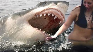 Watch World's Top 5 Most Amazing Near Death Greatest Videos MUST SEE Video