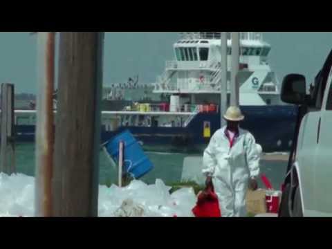 Watch Houston Ship Channel Open to Some Traffic News Video Video