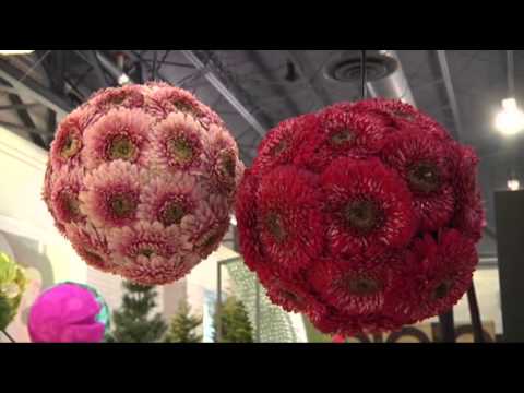 Watch Flower Show Brings Early Spring to Philly News Video Video