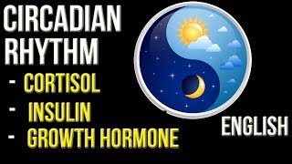 Watch WHAT IS CIRCADIAN RHYTHM - Not your Regular Fitness Video | HUMAN HORMONAL SYSTEM Video
