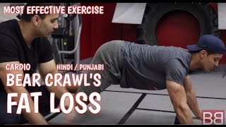 Watch How to- MOST EFFECTIVE exercise for GUARANTEED FAT LOSS ! Bear Crawls ! (Hindi / punjabi) Video