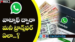Watch Now We Can Transfer Money Using Whats-App | Latest Whats-app Updates | RECTVINDIA Video