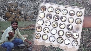 Watch Village type Angry Bird 100 Eggs Boiled | Natural type boiled you will never seen before | Egg Video