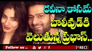 Watch à°†à°®à±† à°•à±‹à°¸à°‚ à°¤à°°à°šà± à°¬à°¾à°²à±€à°µà±à°¡à±â€Œ à°µà±†à°²à±à°¤à±à°¨à±à°¨ à°ªà±à°°à°­à°¾à°¸à±â€Œ l reason to Prabhas going to bollywood l rectvindia Video