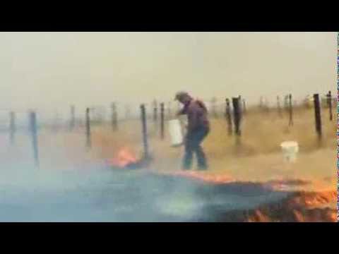 Watch Bushfires grip Australia's Victoria state News Video Video