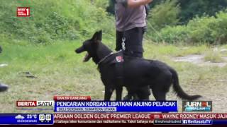 Watch Pencarian Korban Banjir Bandang Libatkan Anjing Pelacak Video