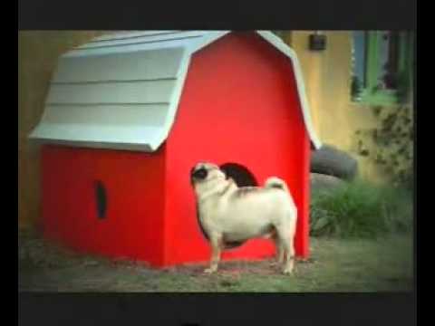 Watch Hutch to Vodafone - Dog House Video